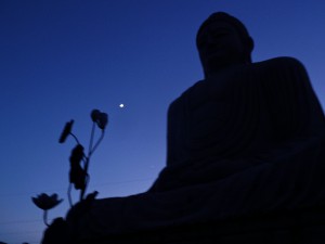 Giant Buddha Statue11