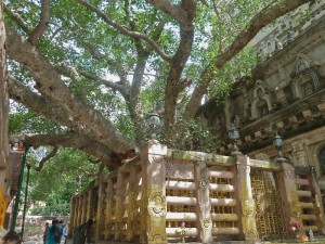 Mahabodhi Temple2