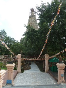 Mahabodhi Temple5