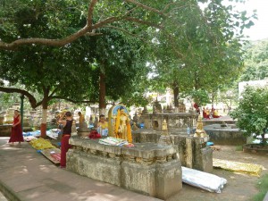 Mahabodhi Temple6